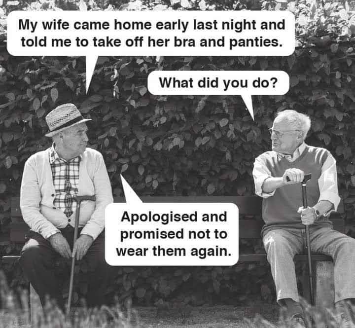 FB_IMG_1703852535041.jpg