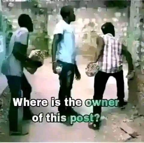 FB_IMG_1706614216055.jpg