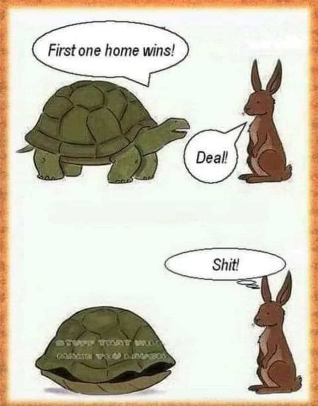 FB_IMG_1708833377557.jpg