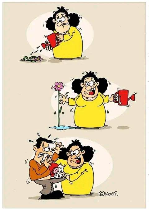 FB_IMG_1711870284164.jpg