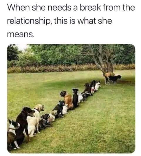 FB_IMG_1711887264416.jpg