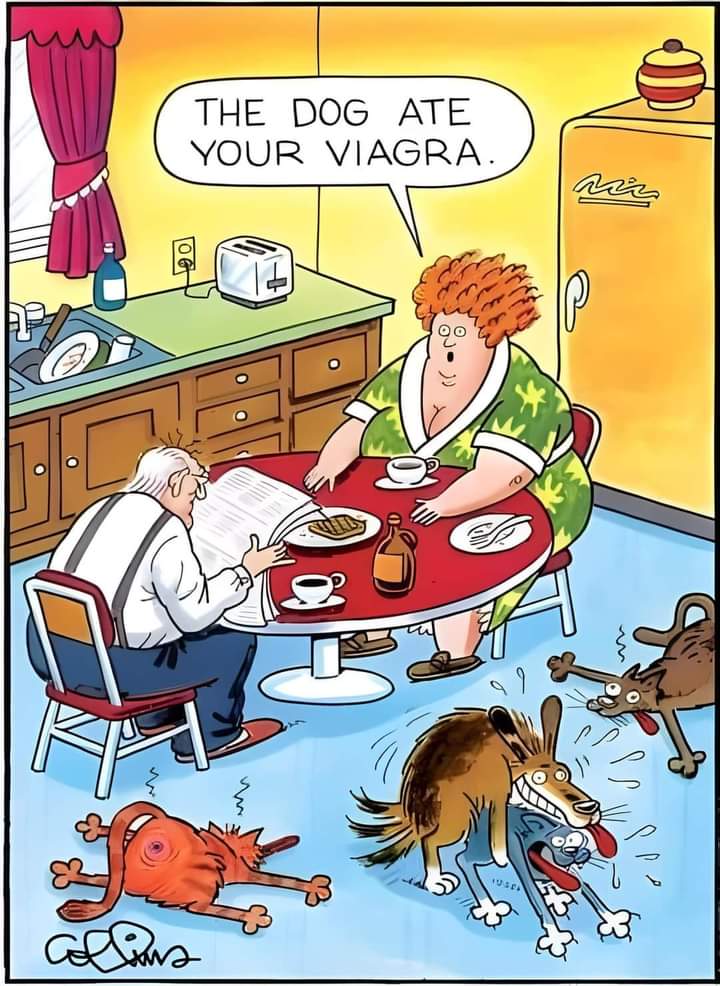 FB_IMG_1716563654398.jpg