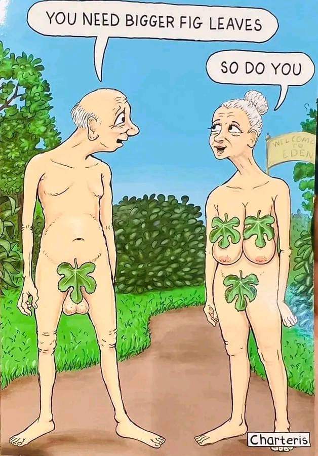 FB_IMG_1716729429200.jpg