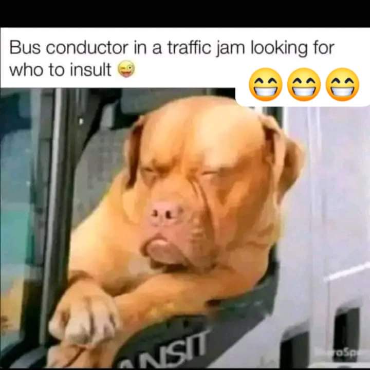 FB_IMG_1723407207032.jpg