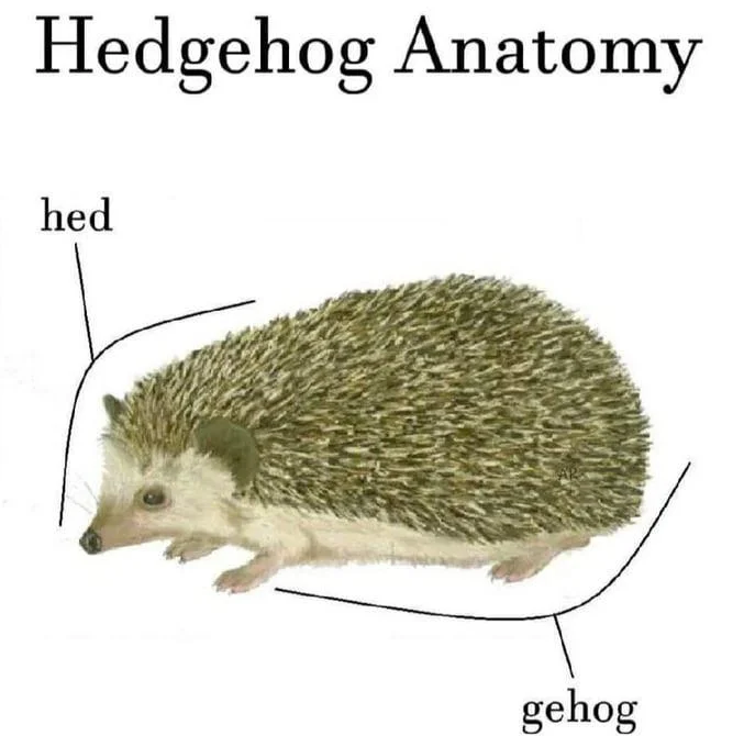 FQGJyIPWUAg-zrm.png