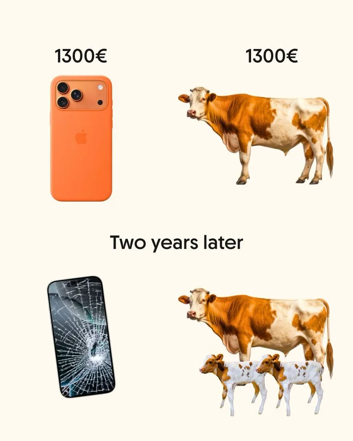 G0kJA1tW8AAQ9-f (1).webp