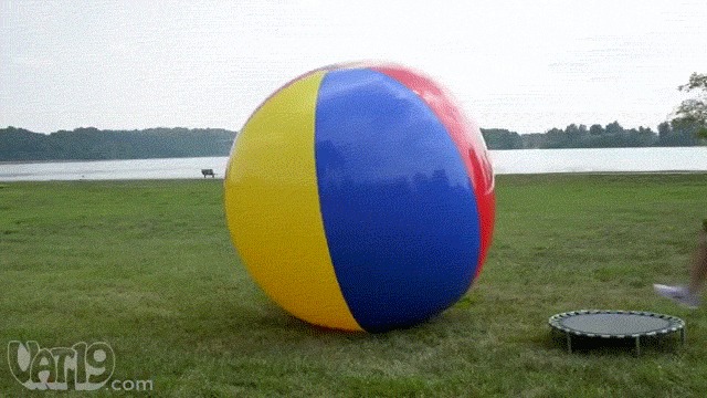giphy (12).gif