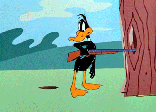 giphy (2).gif