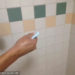 giphy (3).gif