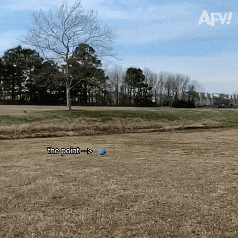 giphy-downsized-large-2.gif