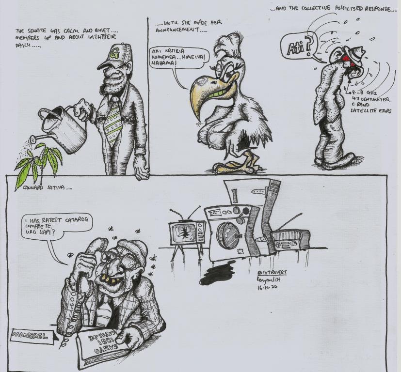 Gunia Mongrel2.jpg