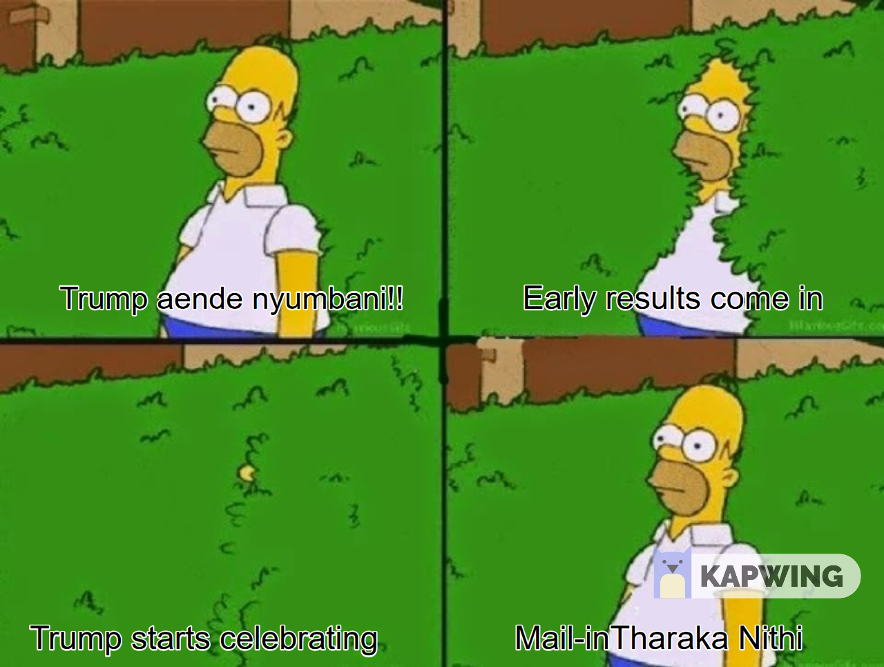 Homer_Simpson_Bush.jpeg