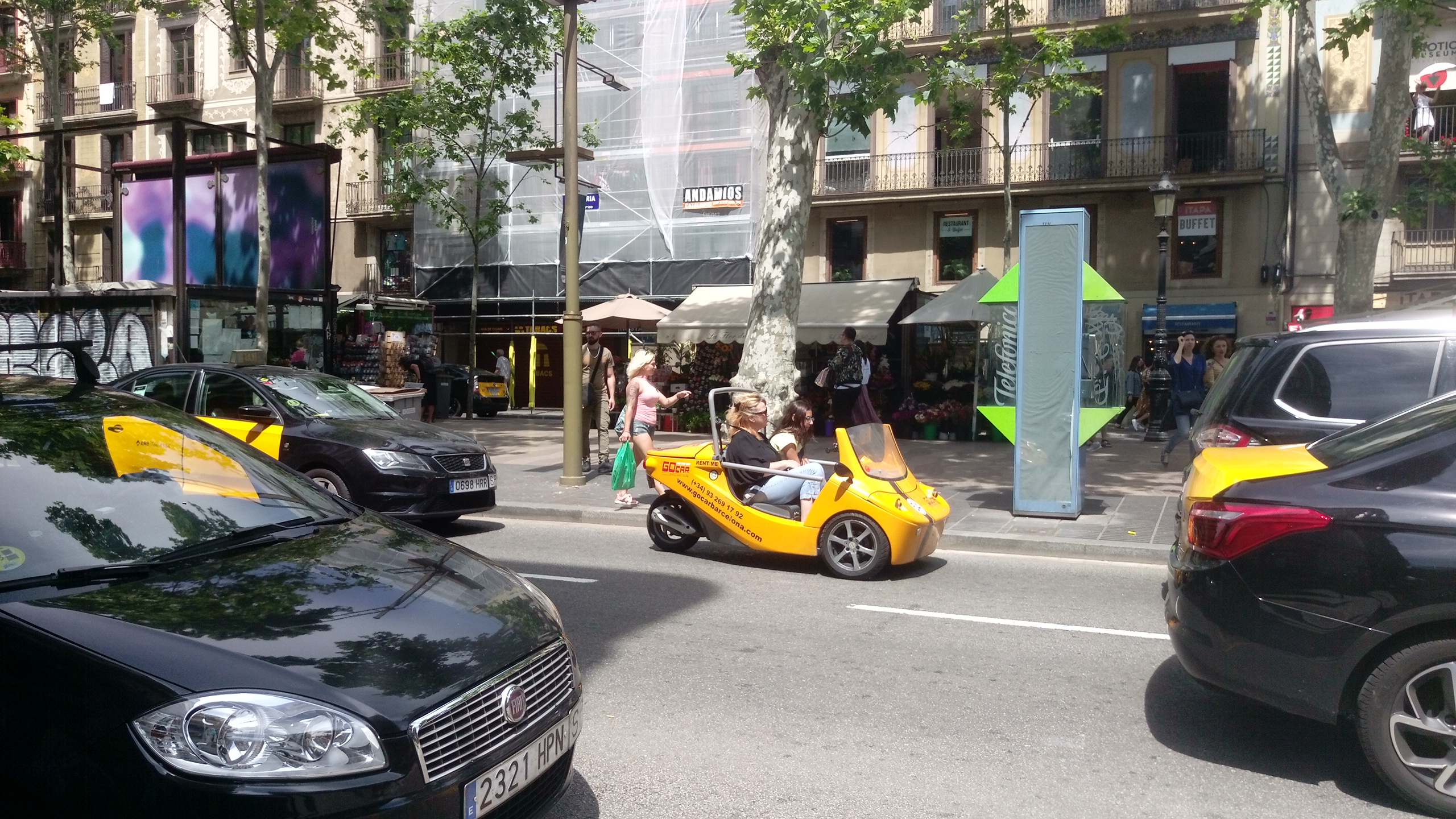 hTc (834).jpg