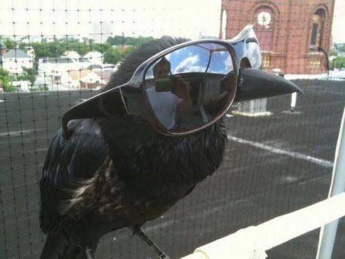 images (33).jpeg