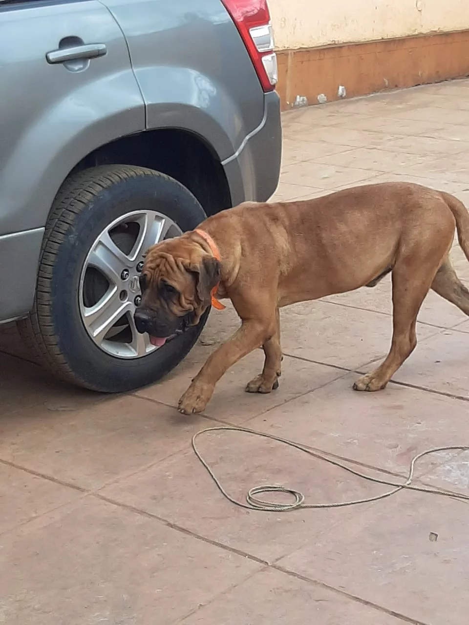 IMG-20191111-WA0024.webp