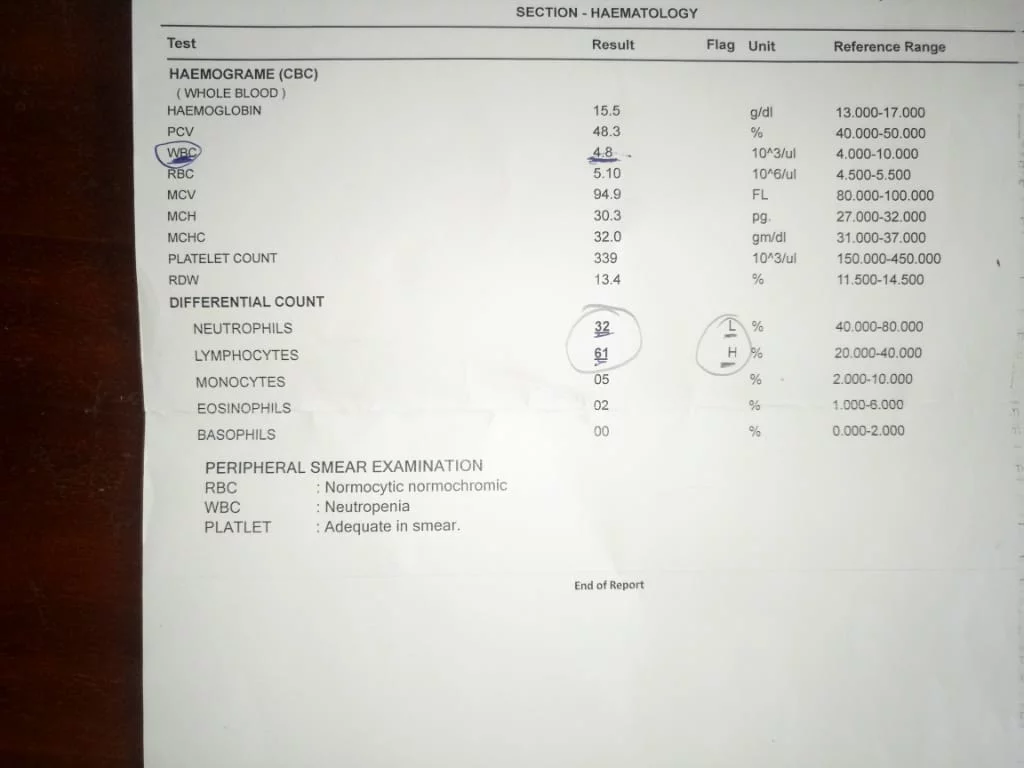 IMG-20191203-WA0020.jpg