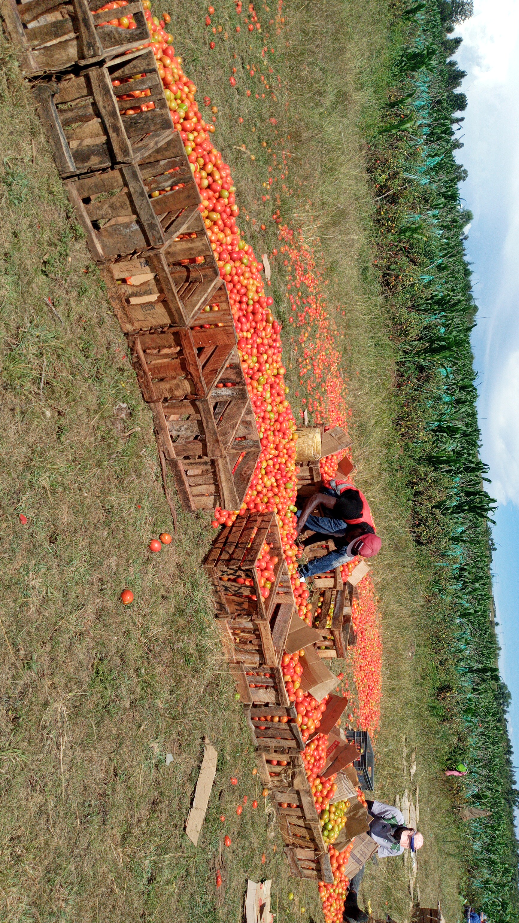 IMG-20200416-WA0028.jpeg