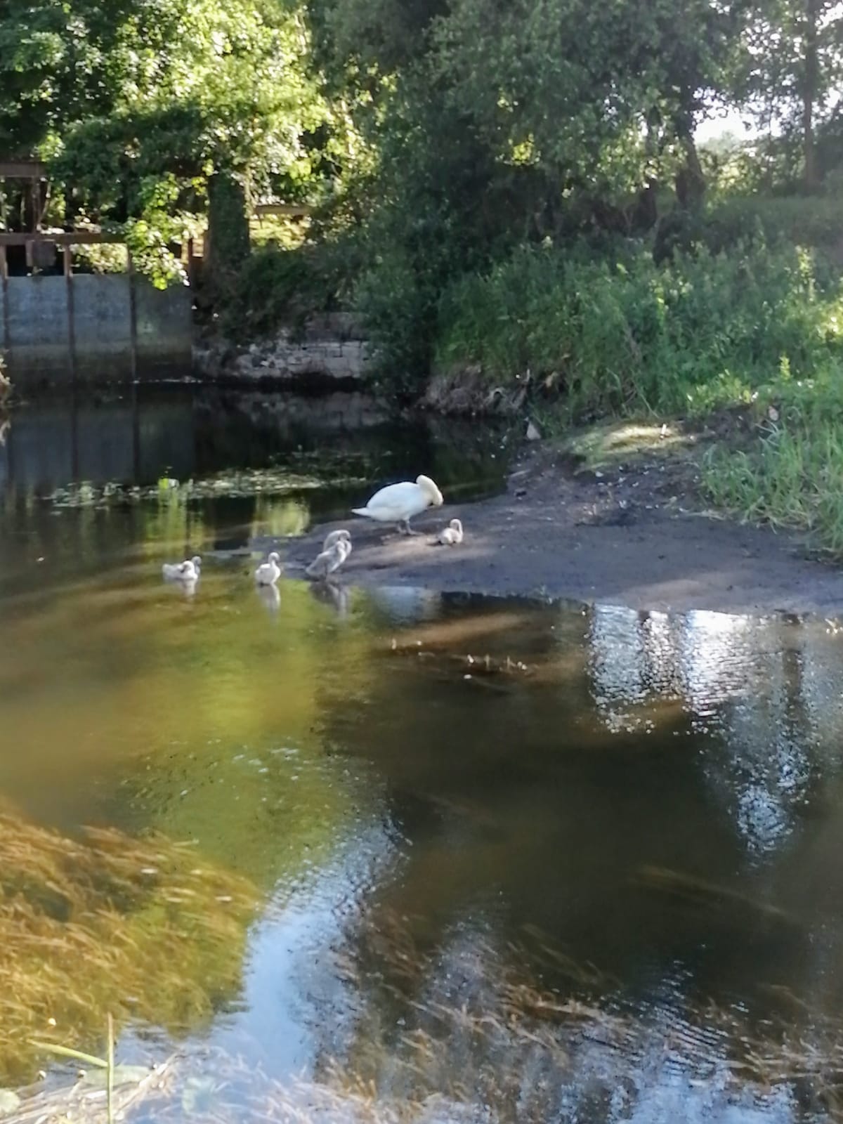 IMG-20210418-WA0021.jpg