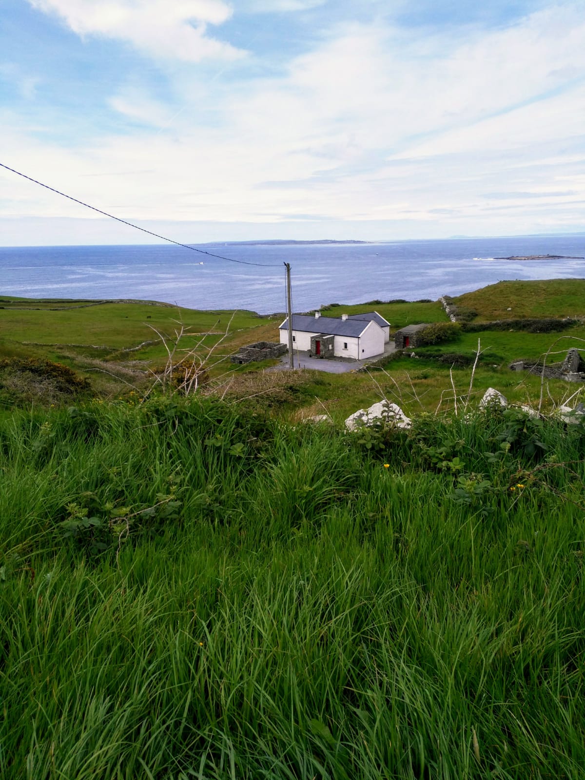 IMG-20210524-WA0001.jpg