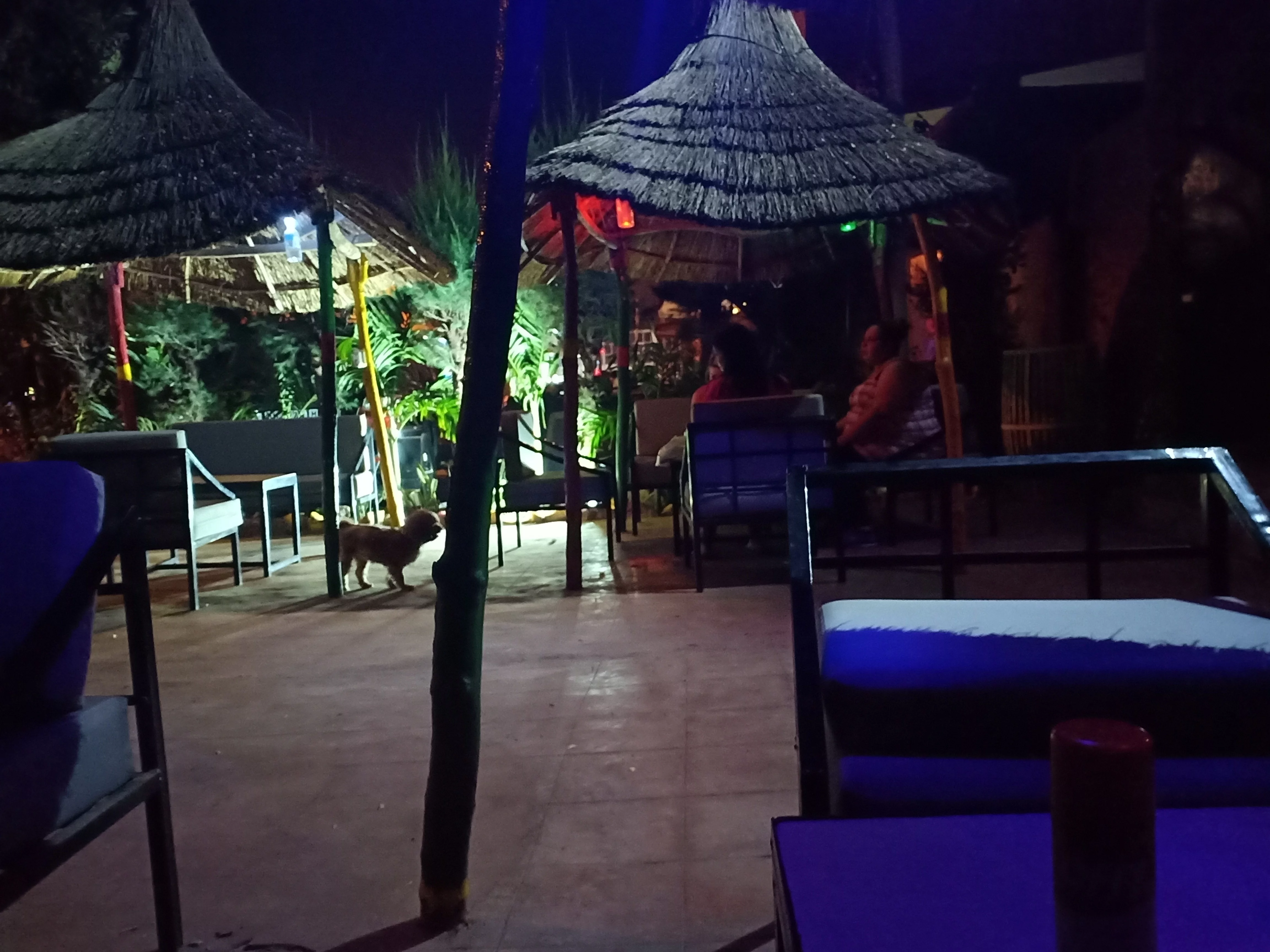IMG20191219201537.webp