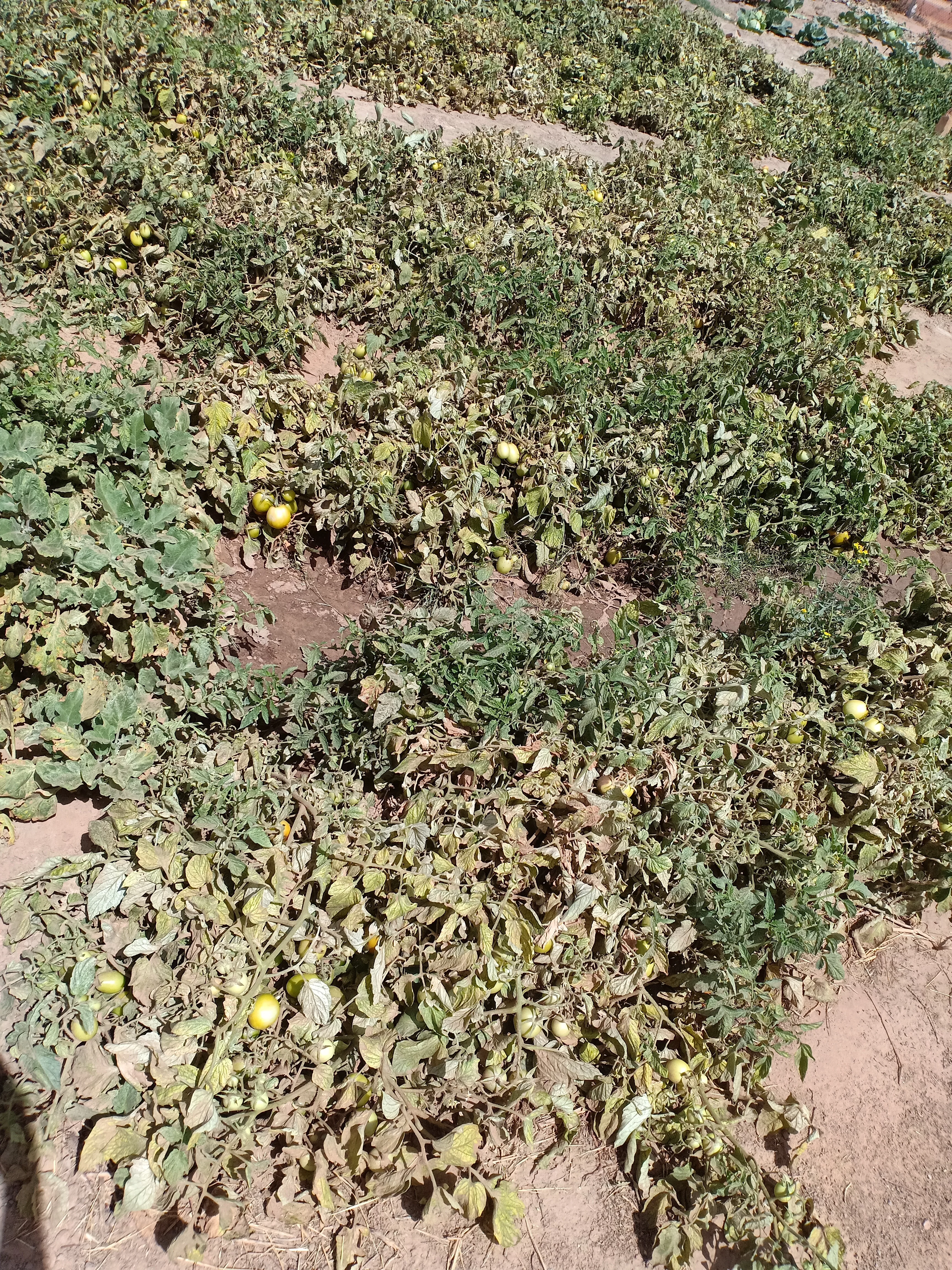 IMG20200219115258.webp