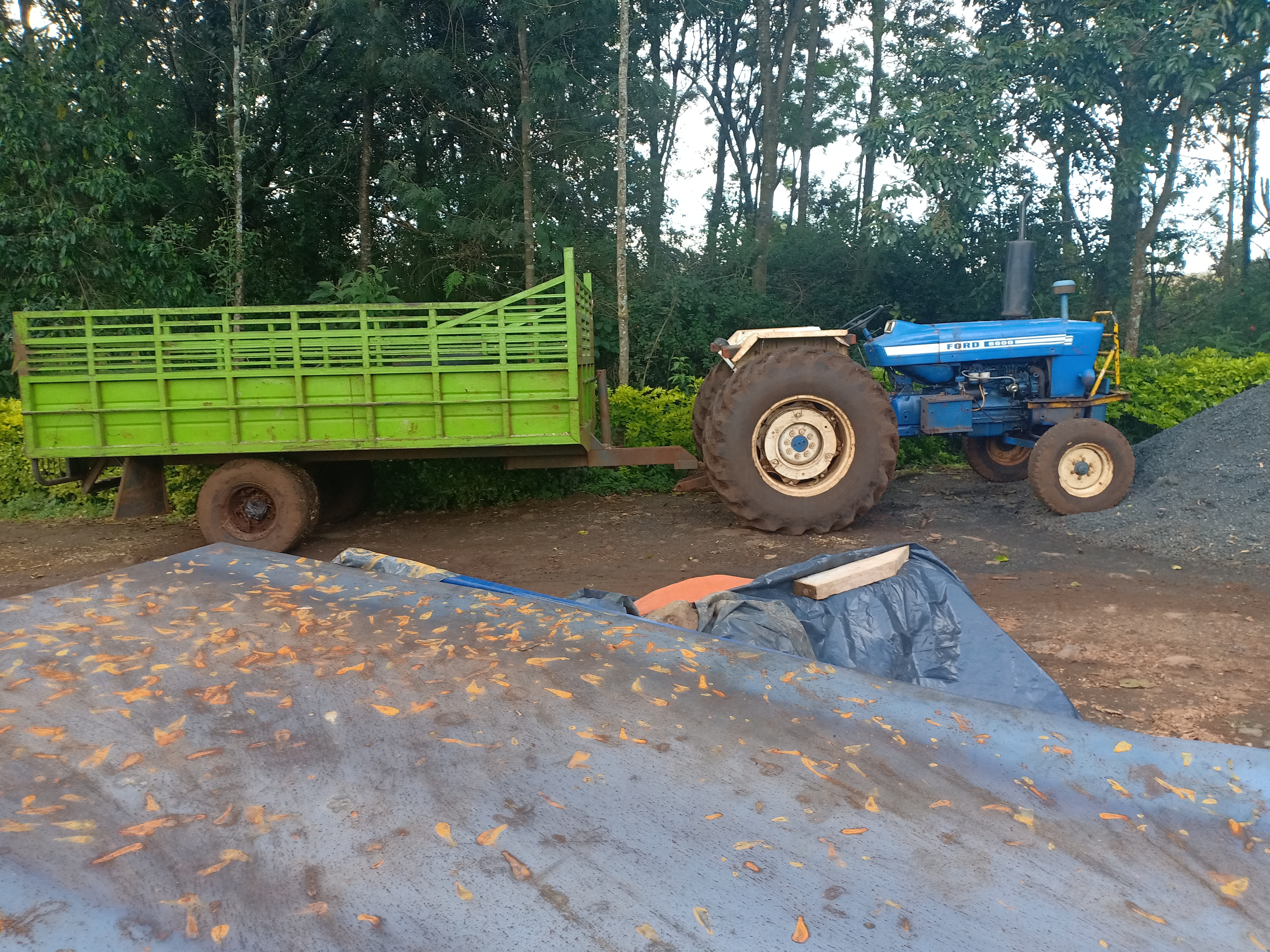 IMG20200912171824.jpg
