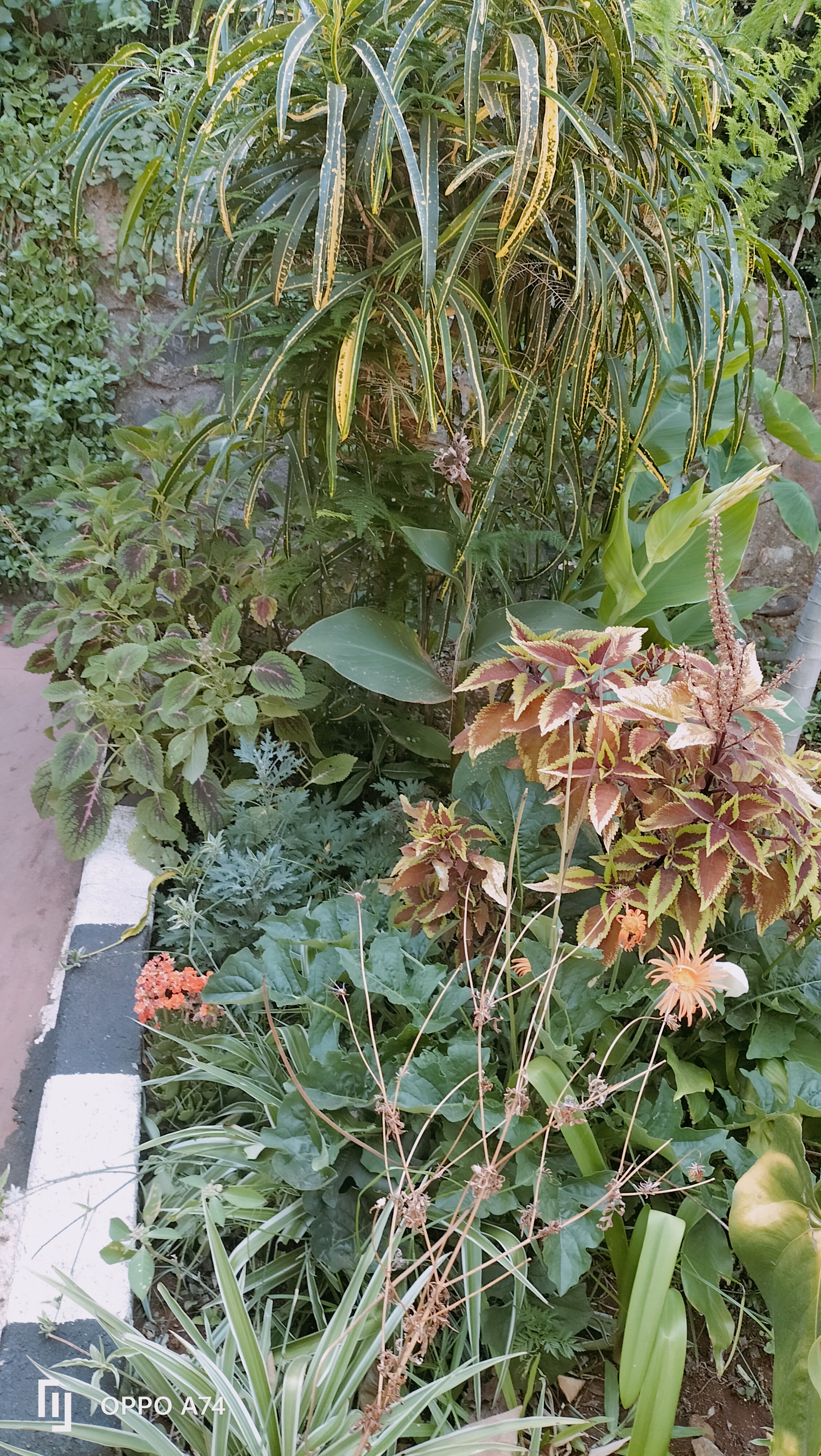 IMG20230204160827.jpg