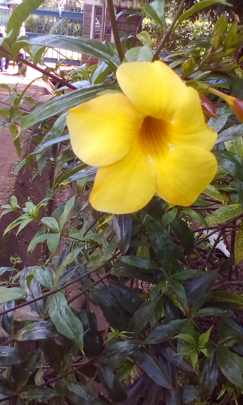 IMG_20191119_120923.webp