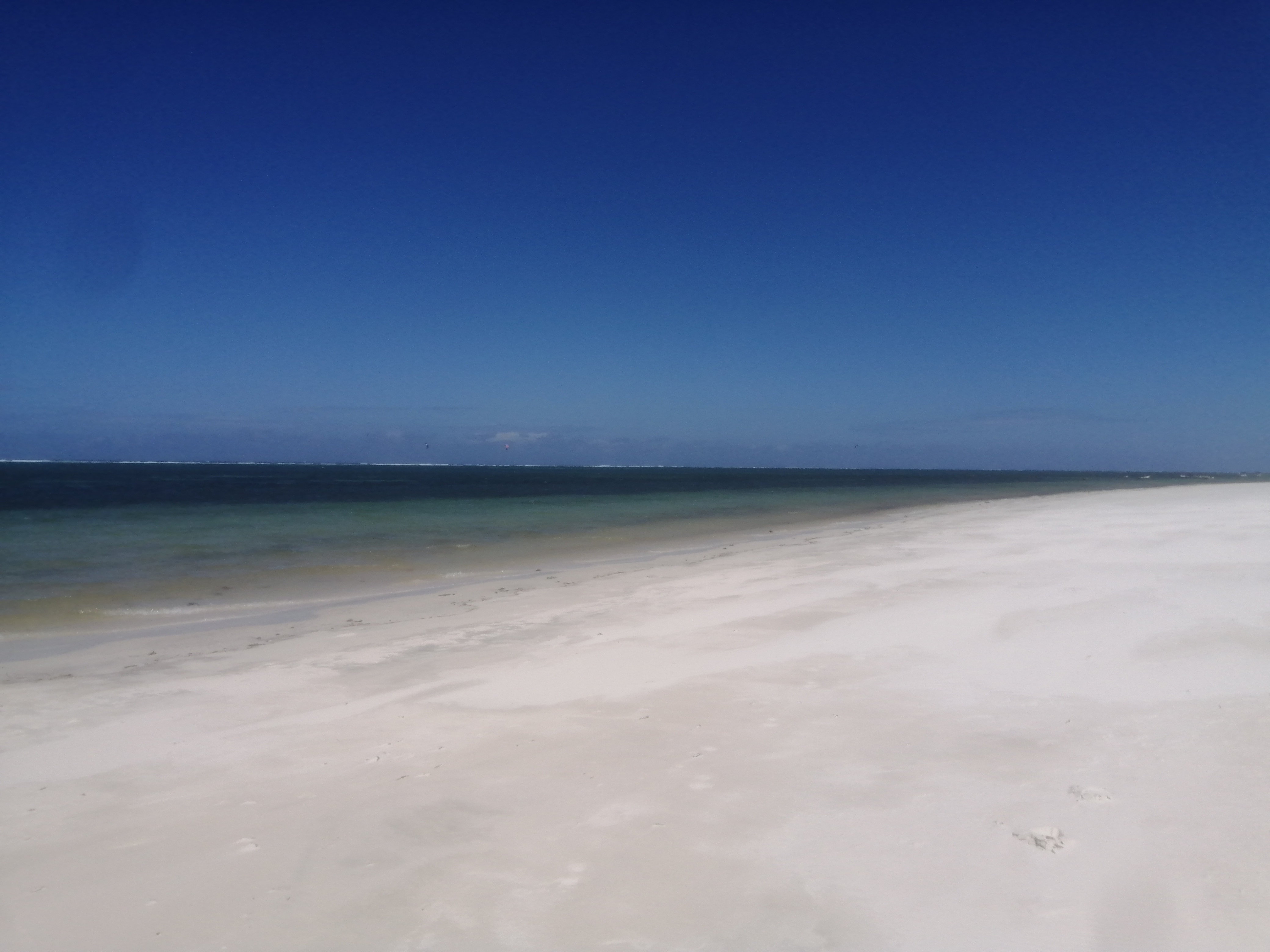 IMG_20200523_132216.jpg
