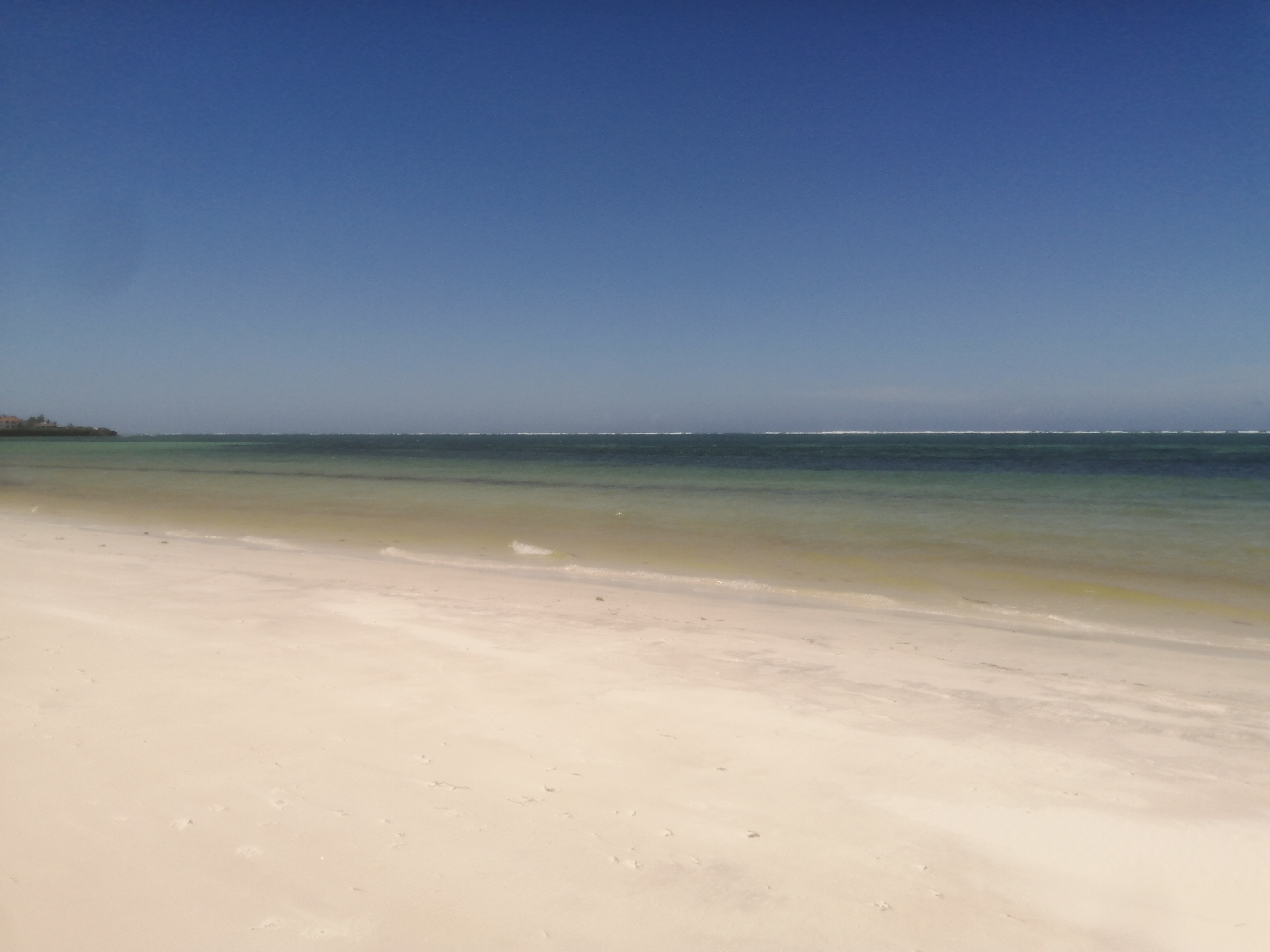IMG_20200523_132312.jpg