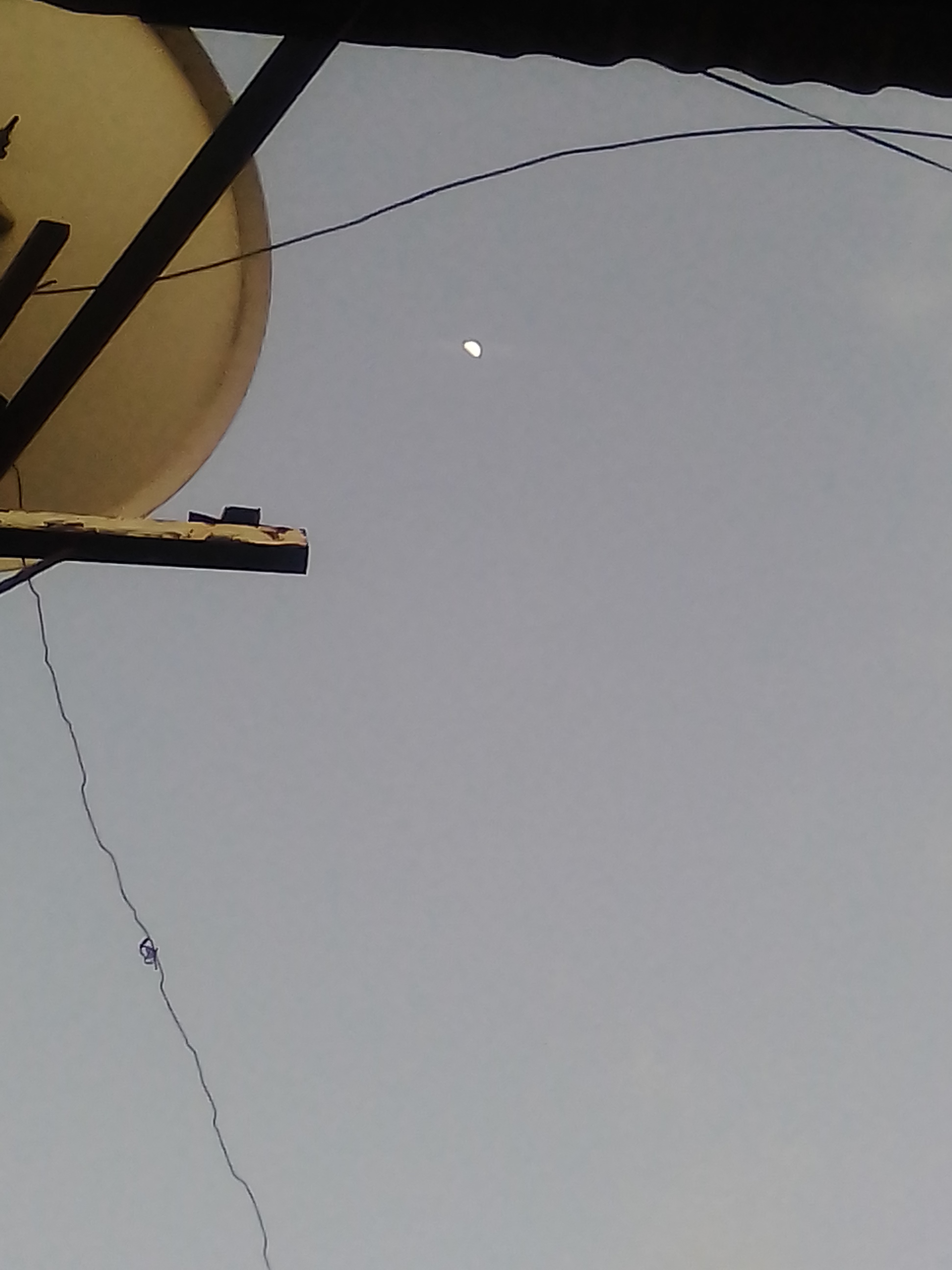IMG_20201024_181022.jpg