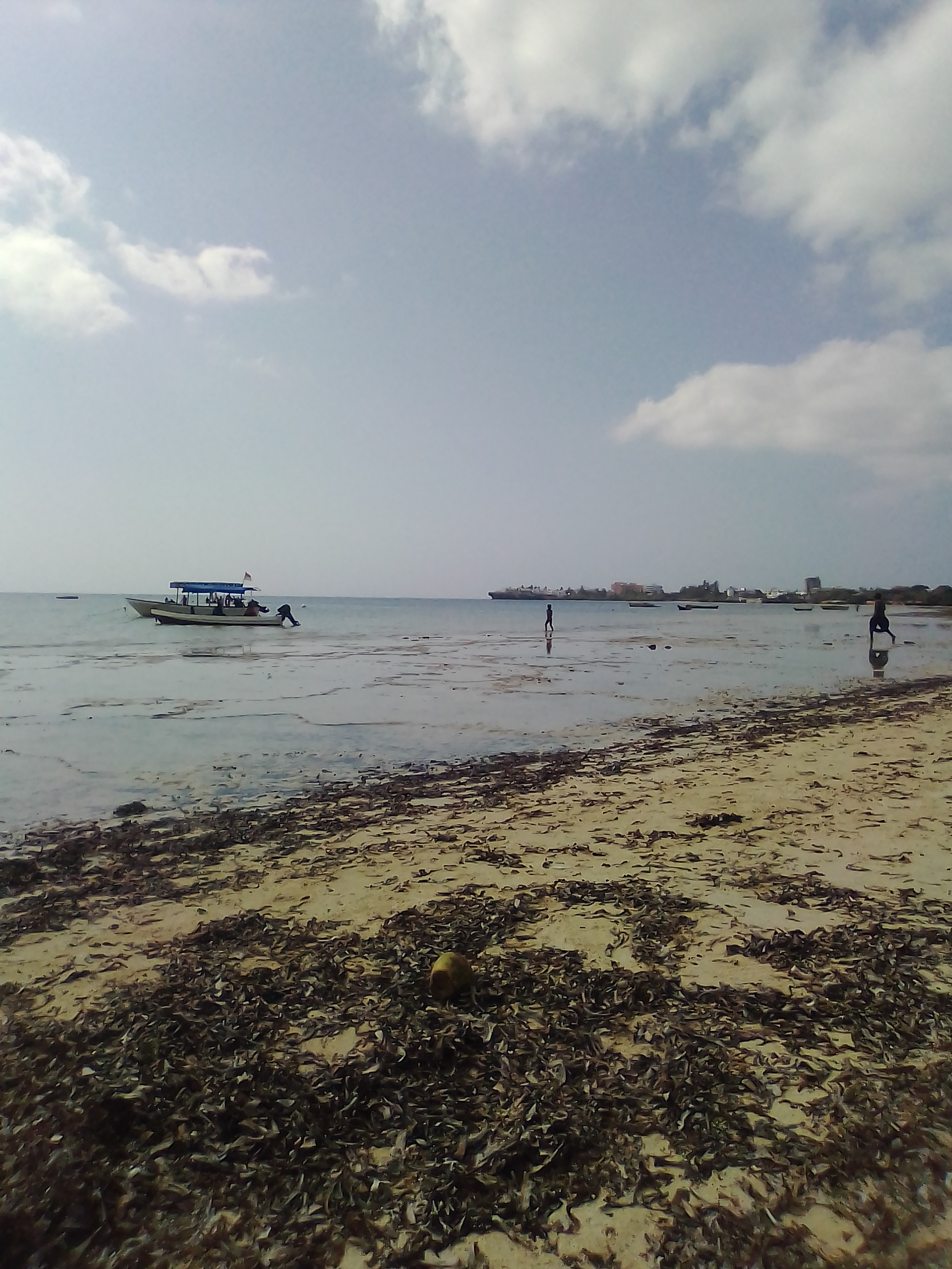 IMG_20210207_094103.jpg