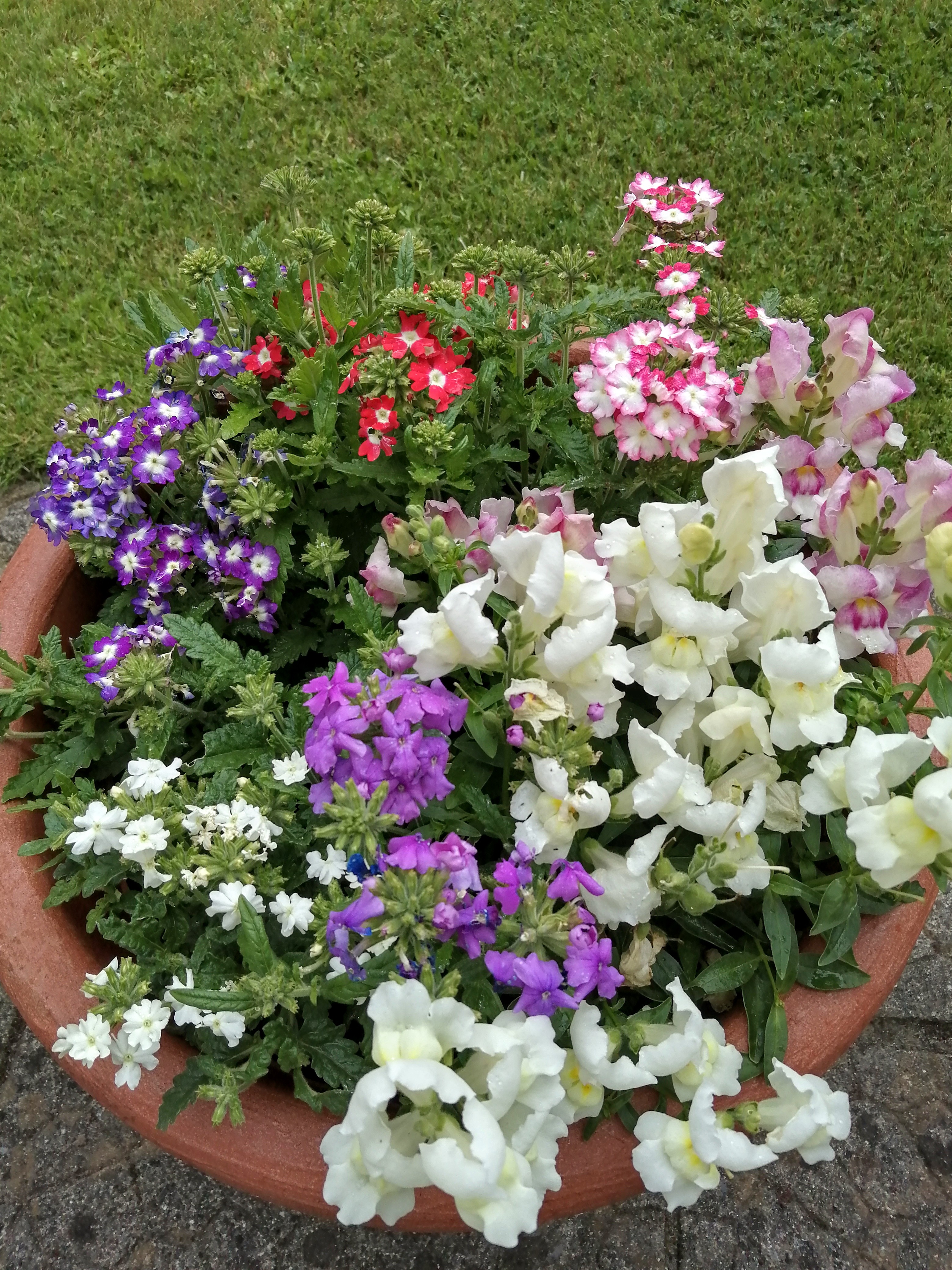 IMG_20210622_195557.jpg
