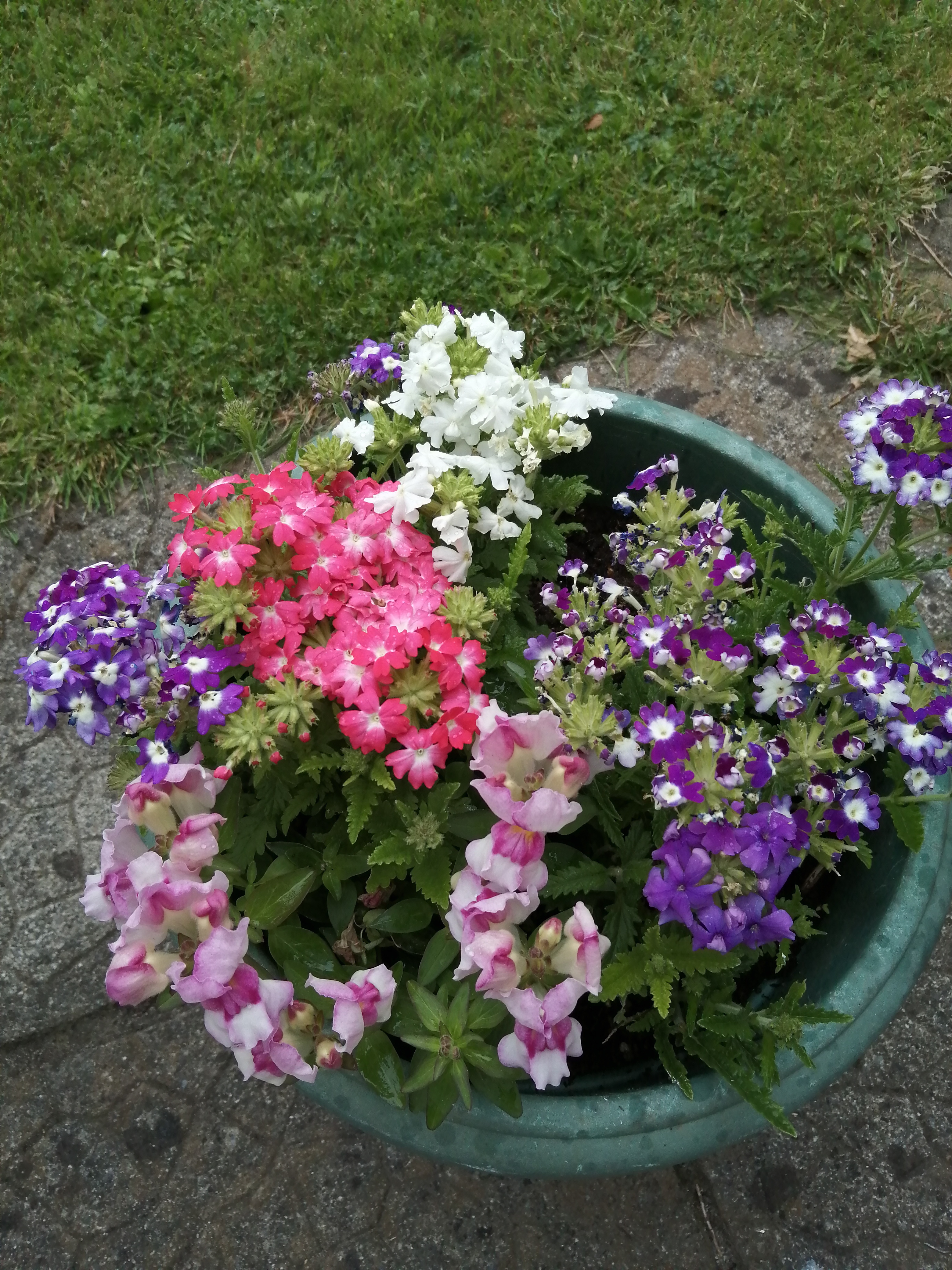IMG_20210622_195604.jpg