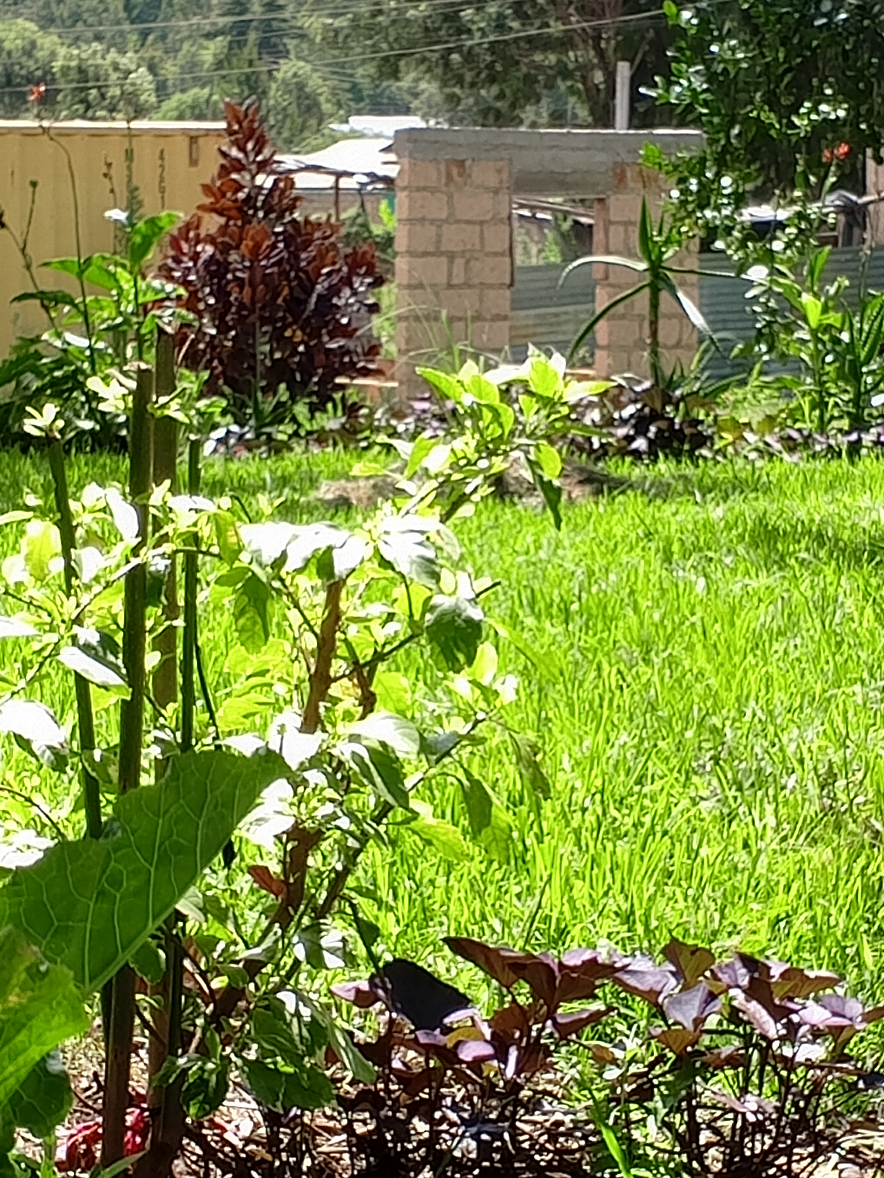 IMG_20240408_142720_442.jpg