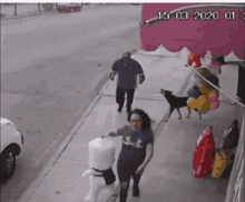 karma-dog.gif