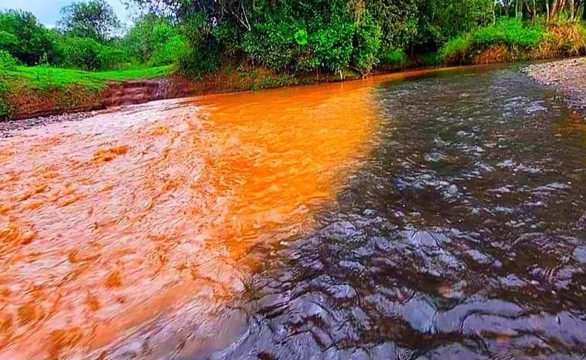 Kenya 12.jpg