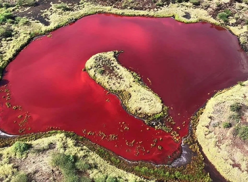 Kenya 2.jpg