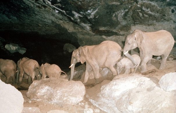 Kenya 5.jpg