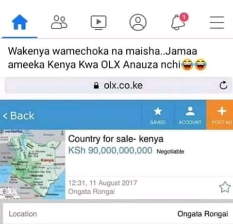 kenya.jpg