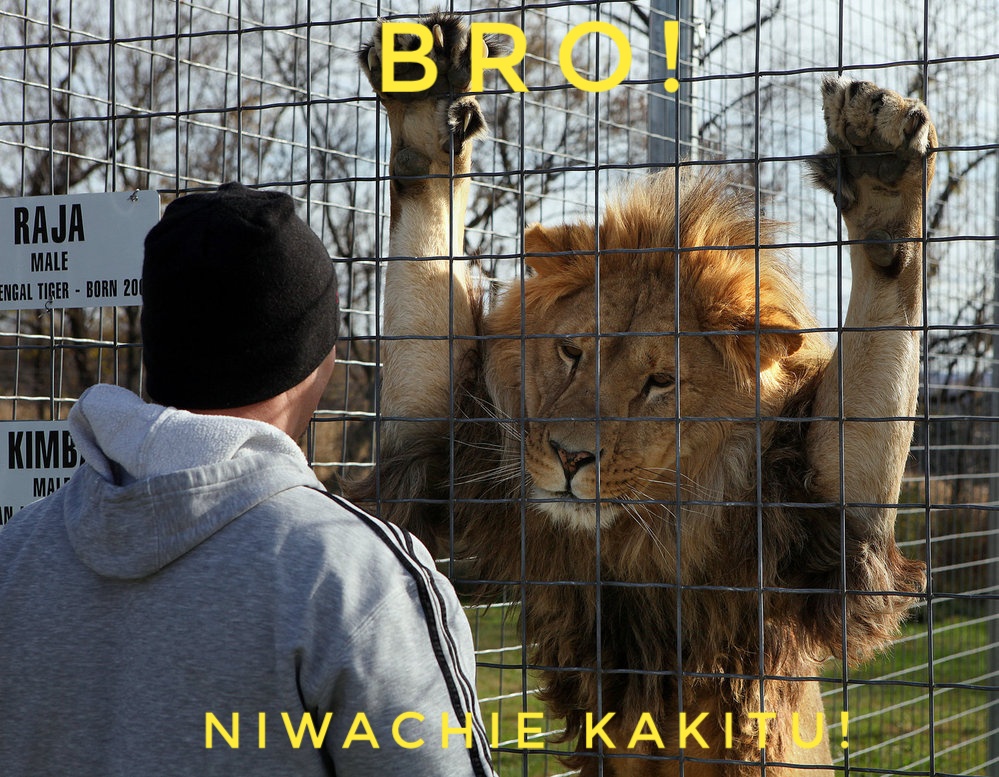 Lion-Cage-01.jpeg