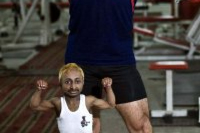 midgetbrown.jpg