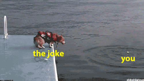 missed joke.gif