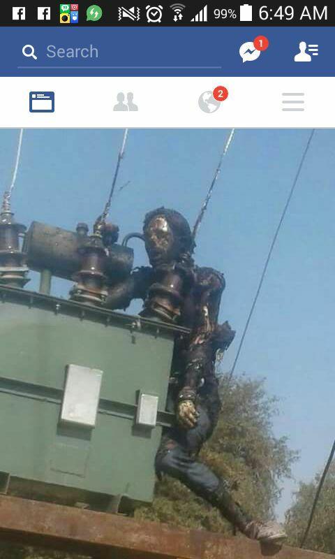 mla1.jpg
