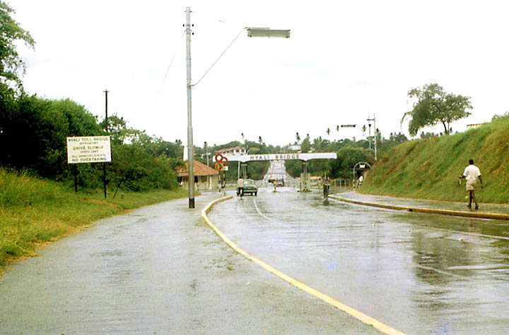 nyali2.jpg