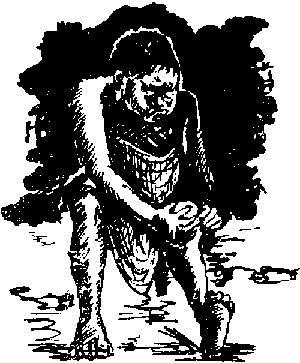 p123.gif