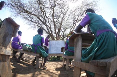 Pupils learn under trees.jpg