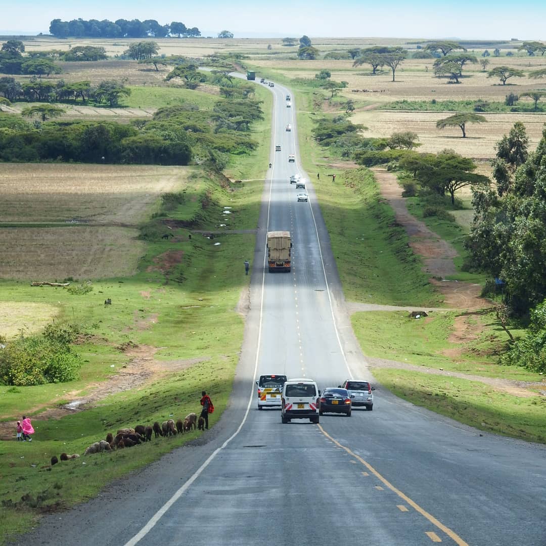 Road 5.jpg