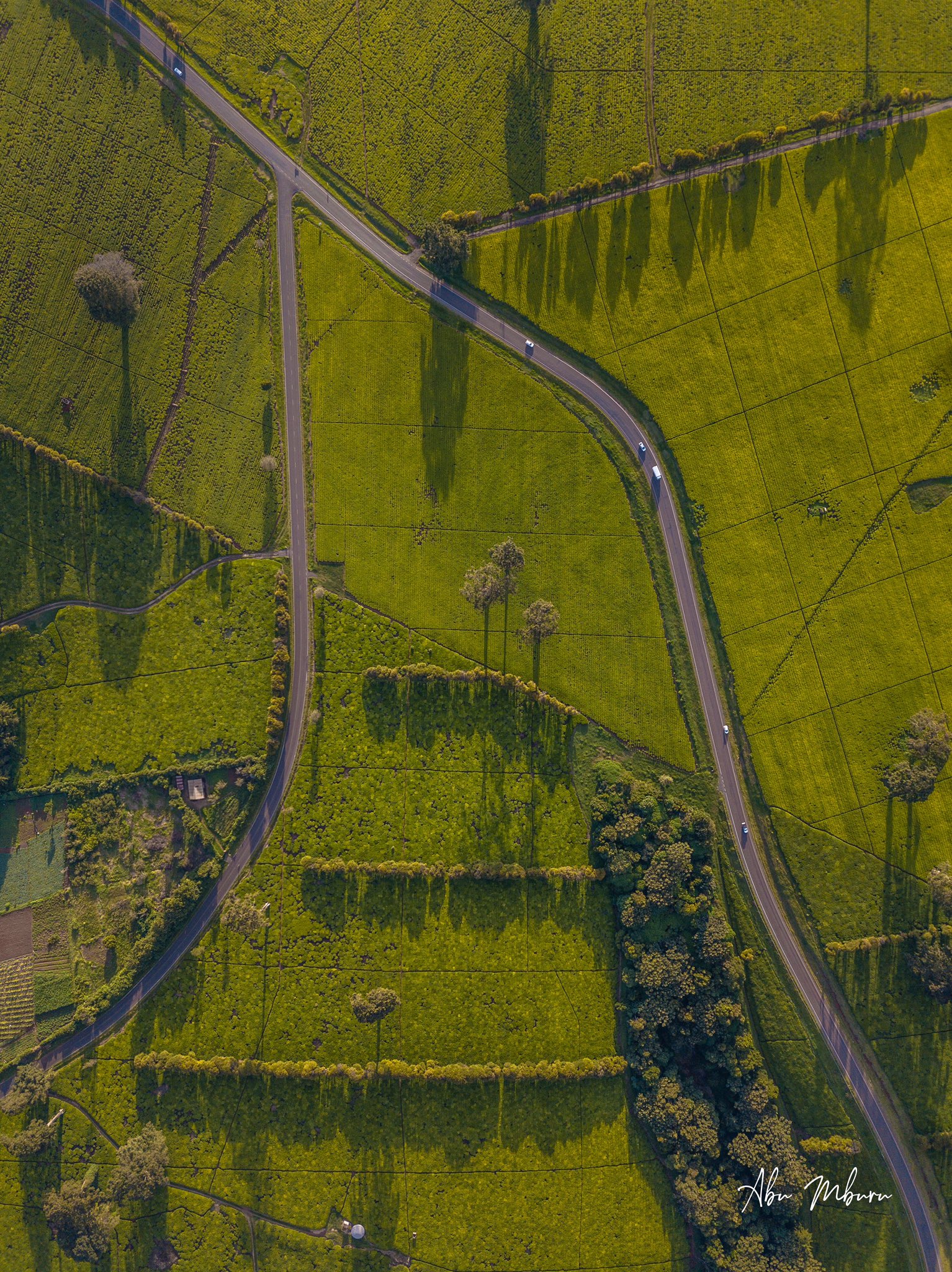 Roads 1.jpg