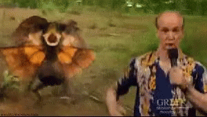 run gif.gif